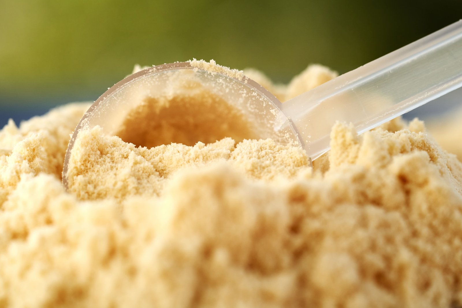 Whey Protein Concentrate